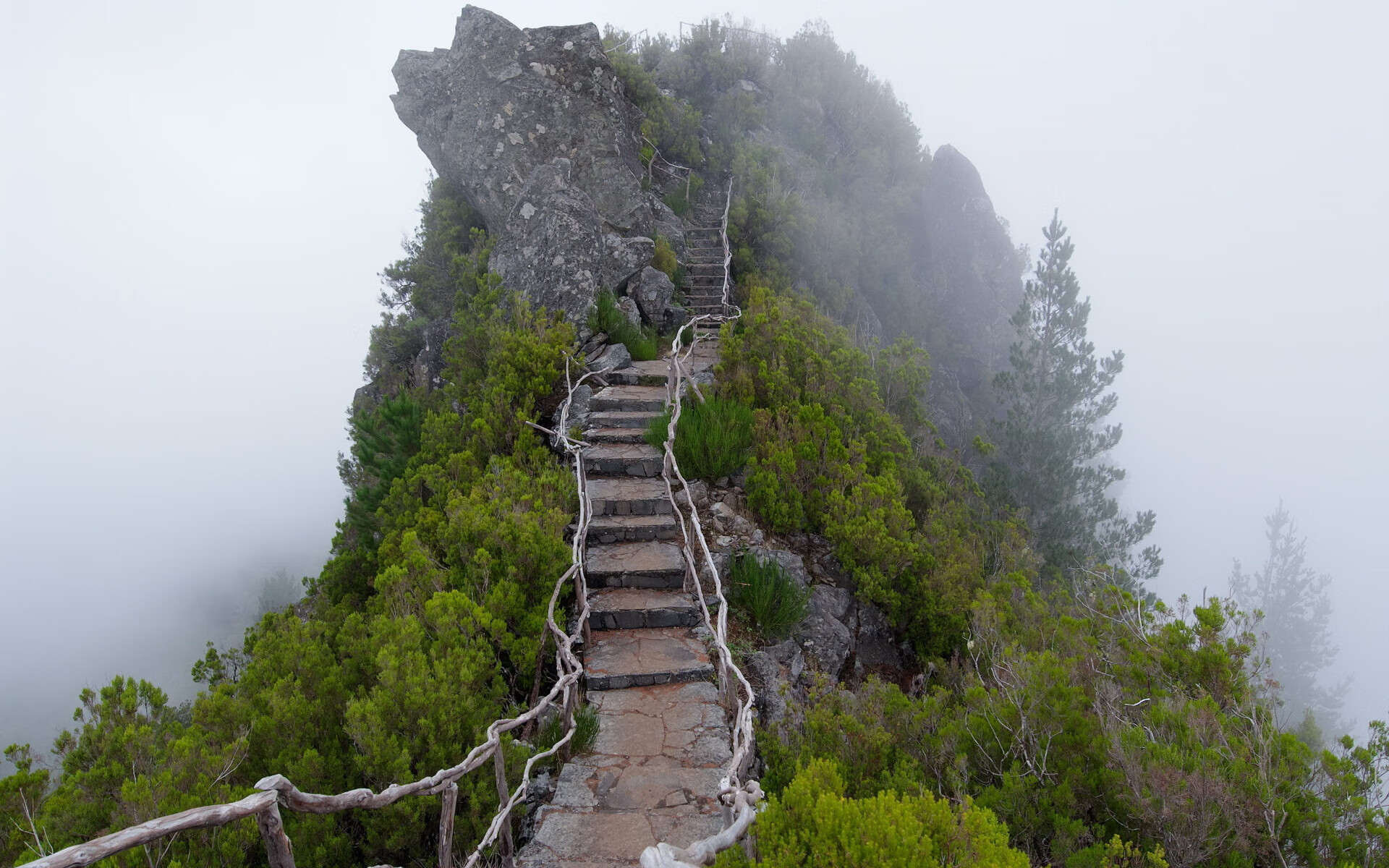 世界登山青年交流营成果公布:多支队伍技术提升明显,世界登山大师